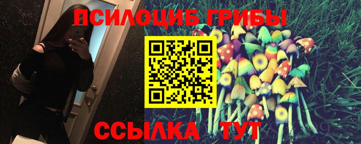 Белово  Псилоцибиновые грибы Psilocybe  Вход с VPN 